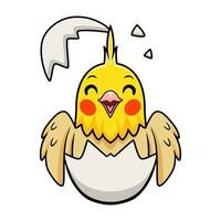 Cute lutino cockatiel bird cartoon inside from egg vector