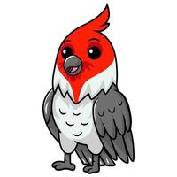 Cute red crested cardinal bird cartoon vector