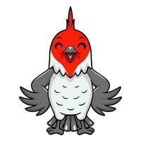 Cute red crested cardinal bird cartoon vector