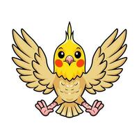 Cute lutino cockatiel bird cartoon vector