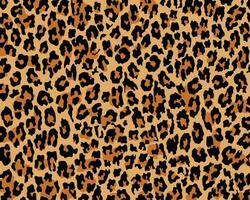 resumen animal piel leopardo, guepardo, jaguar sin costura modelo diseño. negro y blanco sin costura camuflaje antecedentes. vector