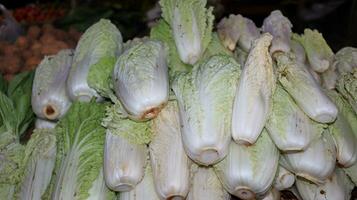 Pile of chicory in the vegetable market photo