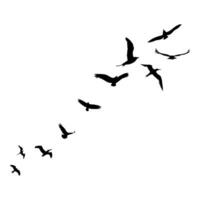 A flock of birds flew. Vector isolated on white background