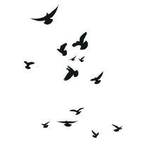 Silhouette sketch of a flock of flying birds, flight in different positions. Hover, soaring, landing, flying, flutter vector