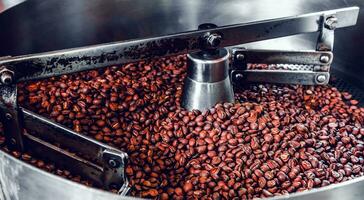 Freshly roasted aromatic coffee beans over a modern coffee roasting machine. photo