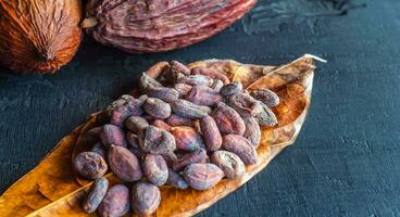 Close-up of dried brown cocoa beans on cocoa leaves, raw material for making chocolate. photo