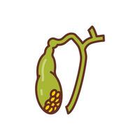 Gallbladder icon in vector. Illustration vector