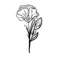 floral línea sencillo naturaleza para belleza marca de moda contorno símbolos para móvil aplicaciones y sitio web diseño. prima paquete de íconos en de moda línea estilo. vector