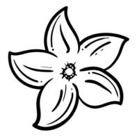 floral línea sencillo naturaleza para belleza marca de moda contorno símbolos para móvil aplicaciones y sitio web diseño. prima paquete de íconos en de moda línea estilo. vector