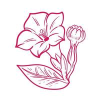 hoja de floral hojas primavera para belleza marca de moda contorno símbolos para móvil aplicaciones y sitio web diseño. prima paquete de íconos en de moda línea estilo. vector