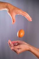 Chicken egg falling down. Trust and confidence concept photo