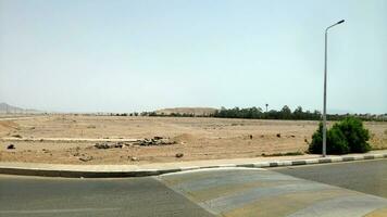 Road in the Sinai desert, Sharm el Sheikh in Egypt photo