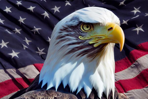 American Flag Eagle Stock Photos Images And Backgrounds For Free Download American Eagle With American Flag Ai Generative Photo