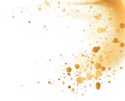 Gold glitter, confetti and powder. png