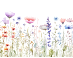aquarelle fleur modèle isolé png