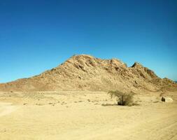 Desert land with mountains and sea photo