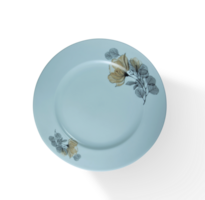 Empty ceramic plate isolated png