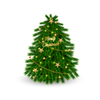 Natale albero decorazione con dipingere ramo e Natale palla png