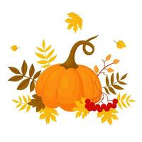 Orange pumpkin with fall  leaves vector