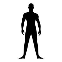 Male athletic human body silhouette. Vector illustration