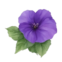 púrpura o Violeta Mañana gloria flor acortar Arte o pegatina ai generativo png