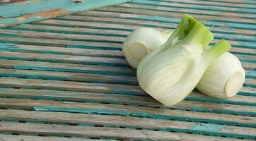 Fresh fennel view photo