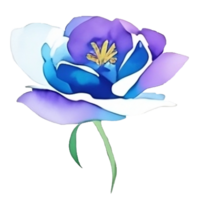 aquarelle fleur tête agrafe art ai génératif png