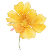Gelb Blume Aquarell ai generativ png