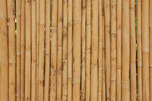 Natural bamboo background photo