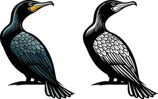 Great cormorant bird vector illustration, Phalacrocorax carbo , seabird stock vector image