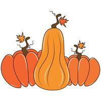 Cute illustration with different shaped pumpkins vector