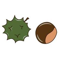 Cute clipart in autumn style with a chestnut vector