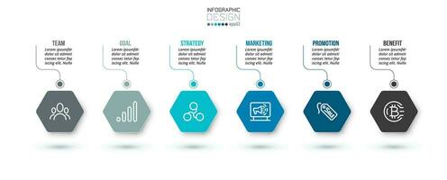 Business concept infographic template with option. vector