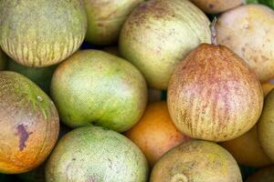 Stack of Pomelos on a market stall photo