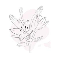 Floral background, flowers in thin lines, minimalistic lilies vector