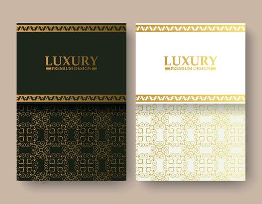 luxury abstract line pattern cover