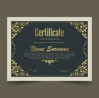 Luxury gold certificate with gold frame color vector