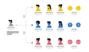 Infographic template for organization chart with business avatar icons. vector infographic for business.