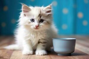 Little kitten drinks milk photo