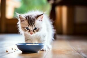 Little kitten drinks milk photo