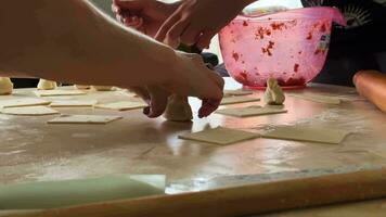 fabbricazione delizioso Turco ravioli manti video