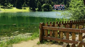 de meer huis en wild groen natuur video