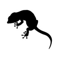 Lizard icon vector. Reptile illustration sign. cold blooded symbol or logo. vector