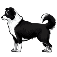 Dog transparent background,Ai generative png