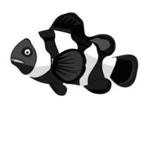 Clown Fisch transparent Hintergrund, ai generativ png