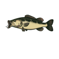 Fish transparent background,AI Generative png