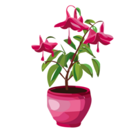 fuchsia blomma transparent bakgrund,ai generativ png