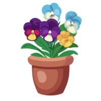 Pansy flower transparent background,Ai generative png