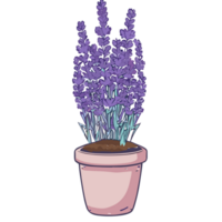 lavendel bloem transparant achtergrond, ai generatief png