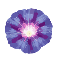 Morning Glory flower transparent background,Ai Generative png